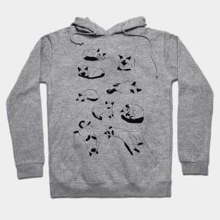 More Sleep Siamese Cat Hoodie